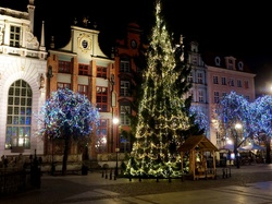 Gdańsk, Świąteczne, Drzewa, Noc, Polska, Choinka